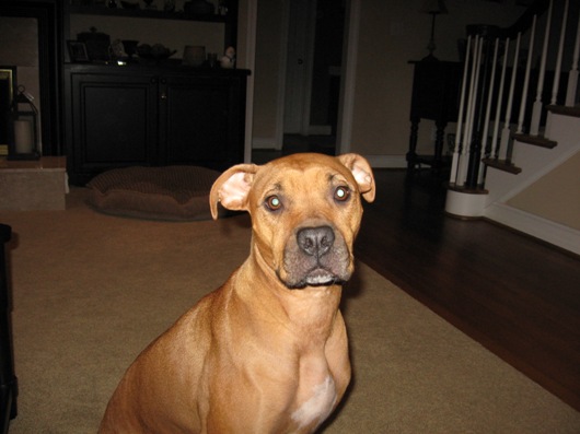 Marlo